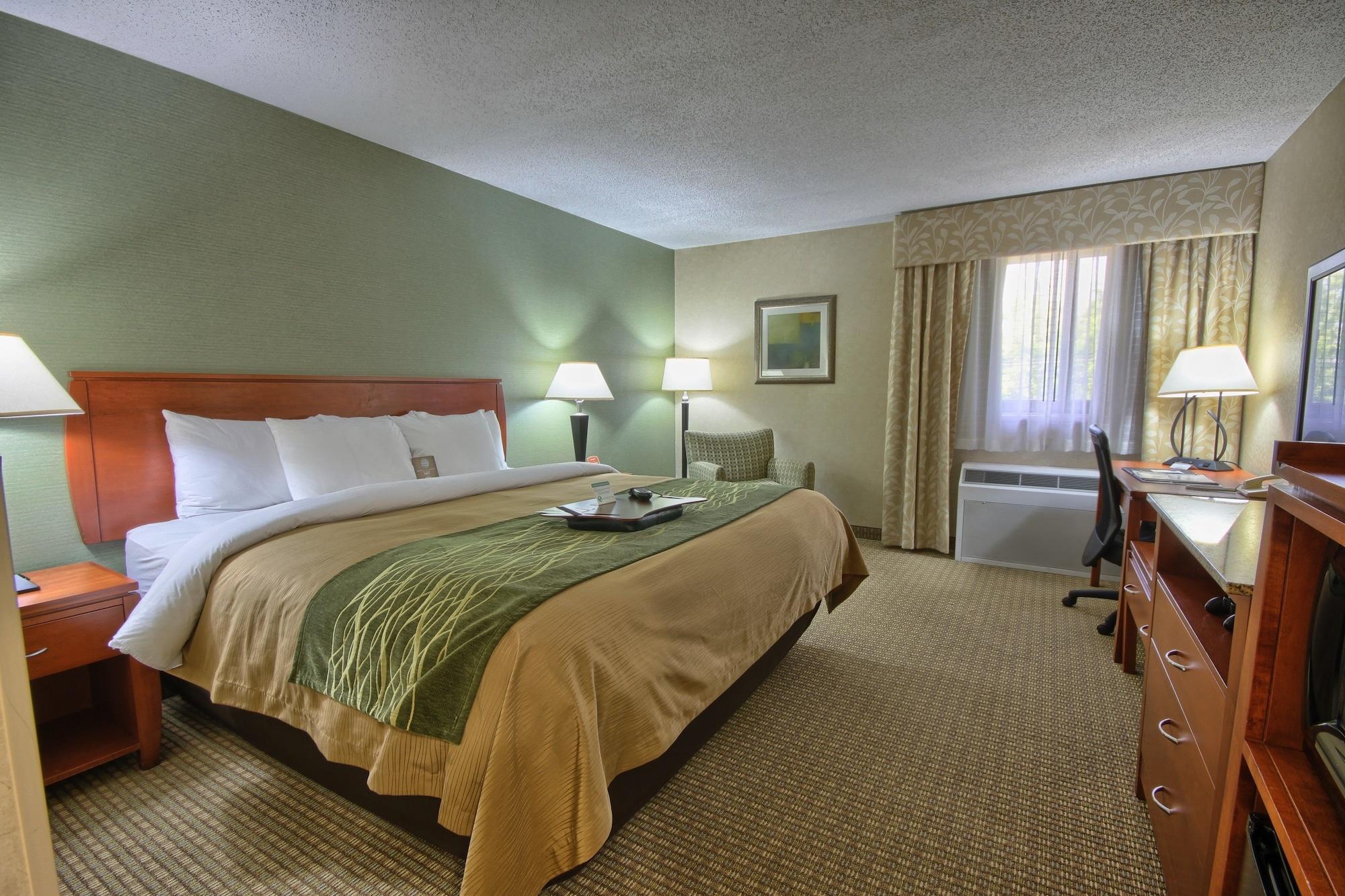 Comfort Inn Near Greenfield Village Dearborn Exterior foto