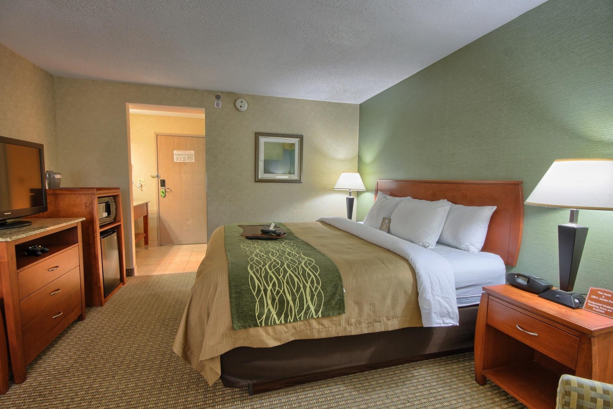 Comfort Inn Near Greenfield Village Dearborn Exterior foto